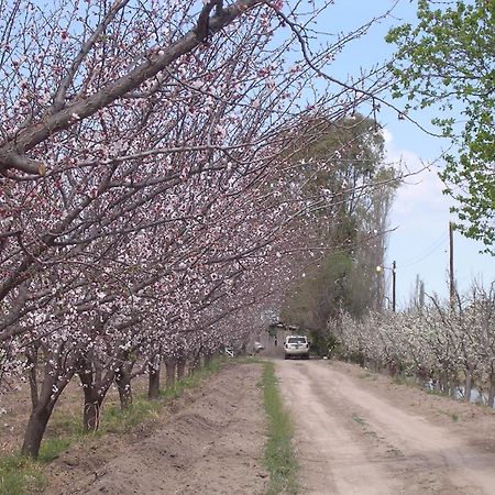 Finca La Celestita Colonia Alvear Экстерьер фото