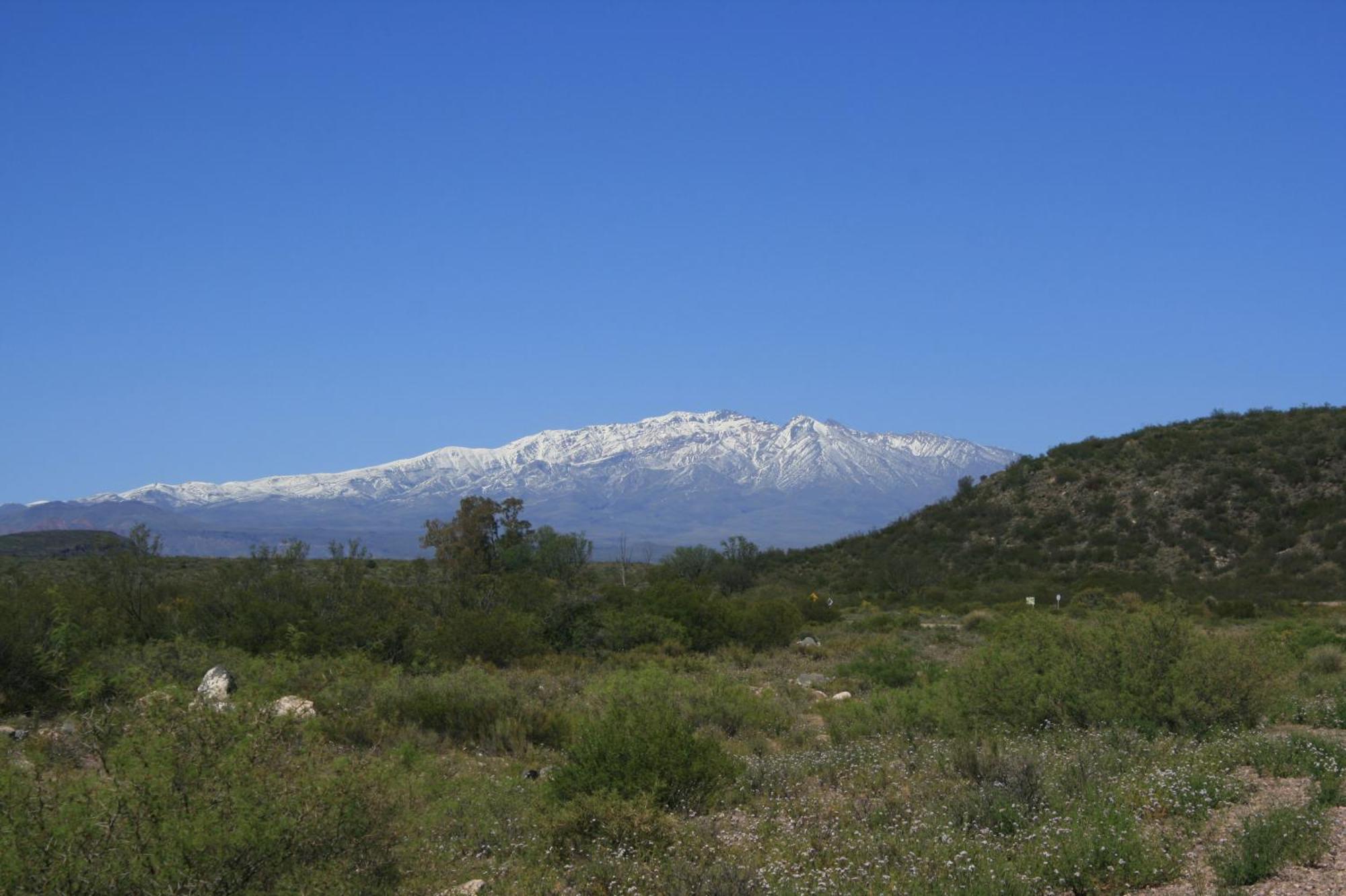 Finca La Celestita Colonia Alvear Экстерьер фото