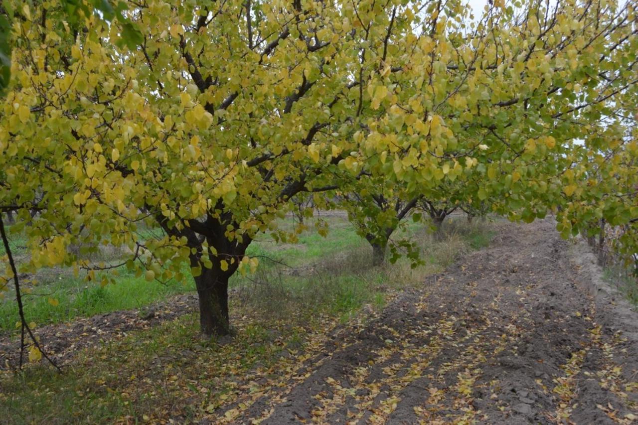 Finca La Celestita Colonia Alvear Экстерьер фото