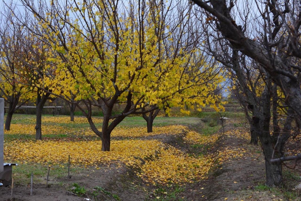 Finca La Celestita Colonia Alvear Экстерьер фото