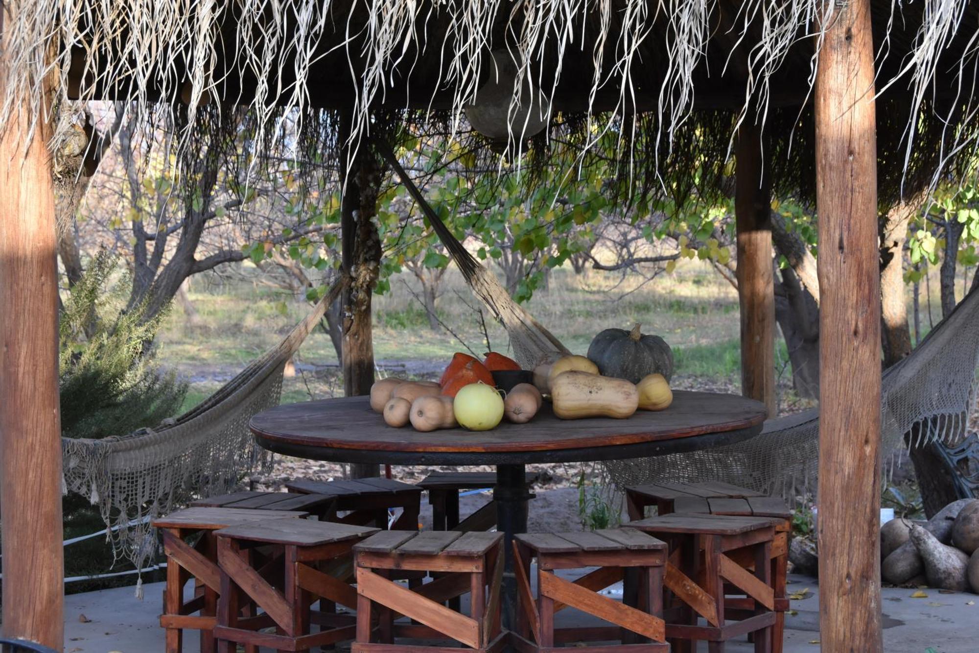 Finca La Celestita Colonia Alvear Экстерьер фото