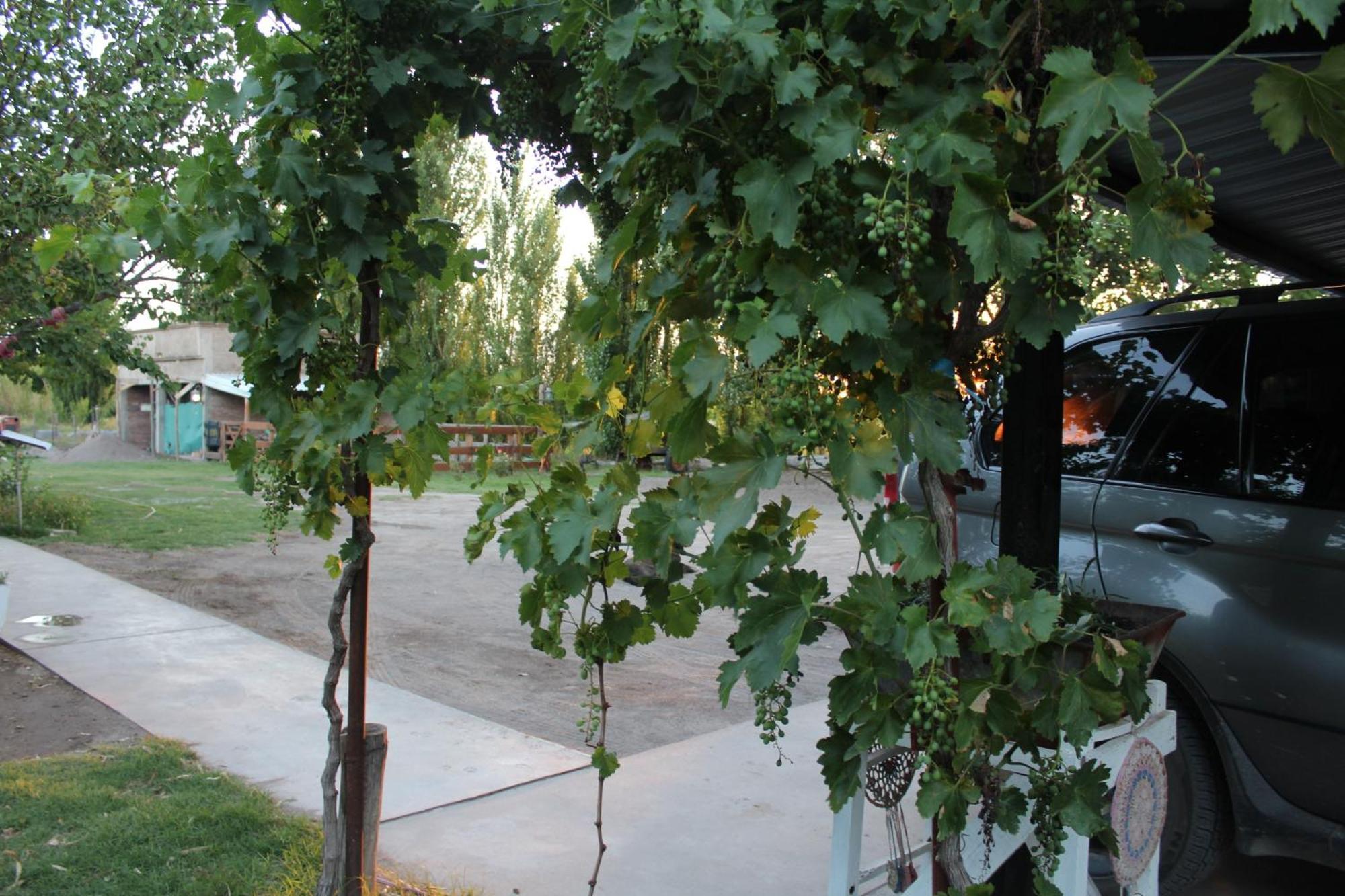 Finca La Celestita Colonia Alvear Экстерьер фото