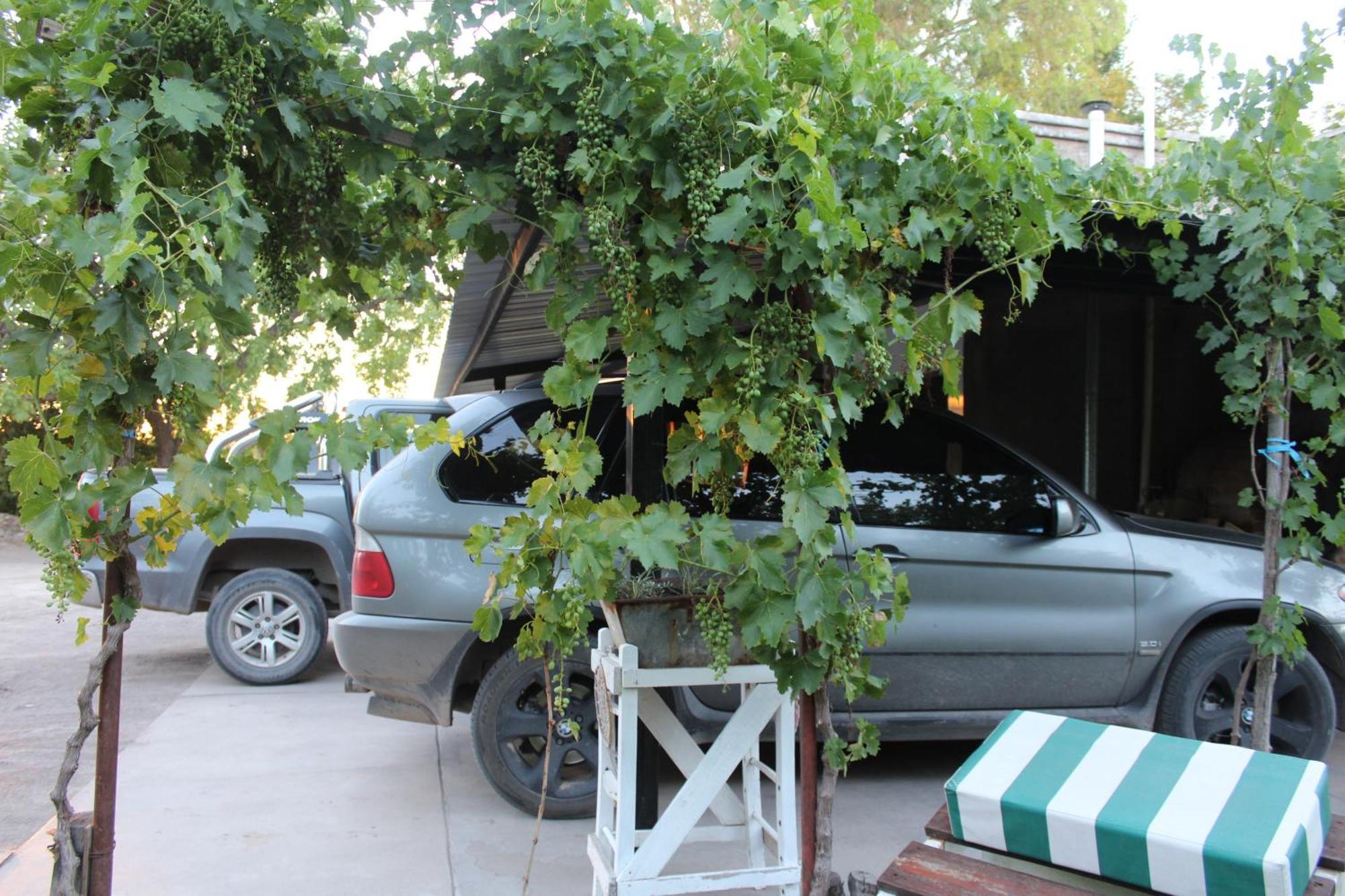 Finca La Celestita Colonia Alvear Экстерьер фото