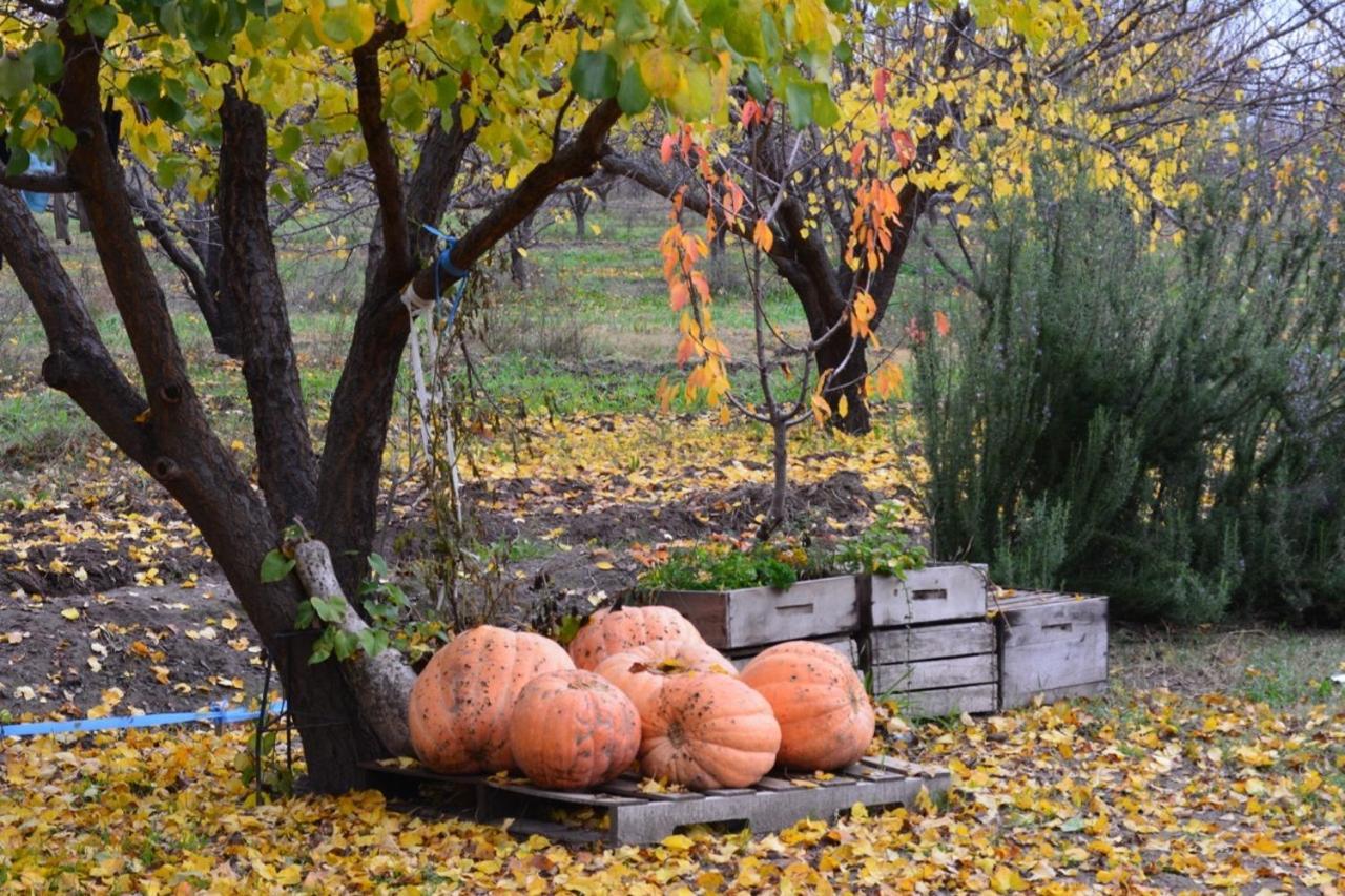 Finca La Celestita Colonia Alvear Экстерьер фото