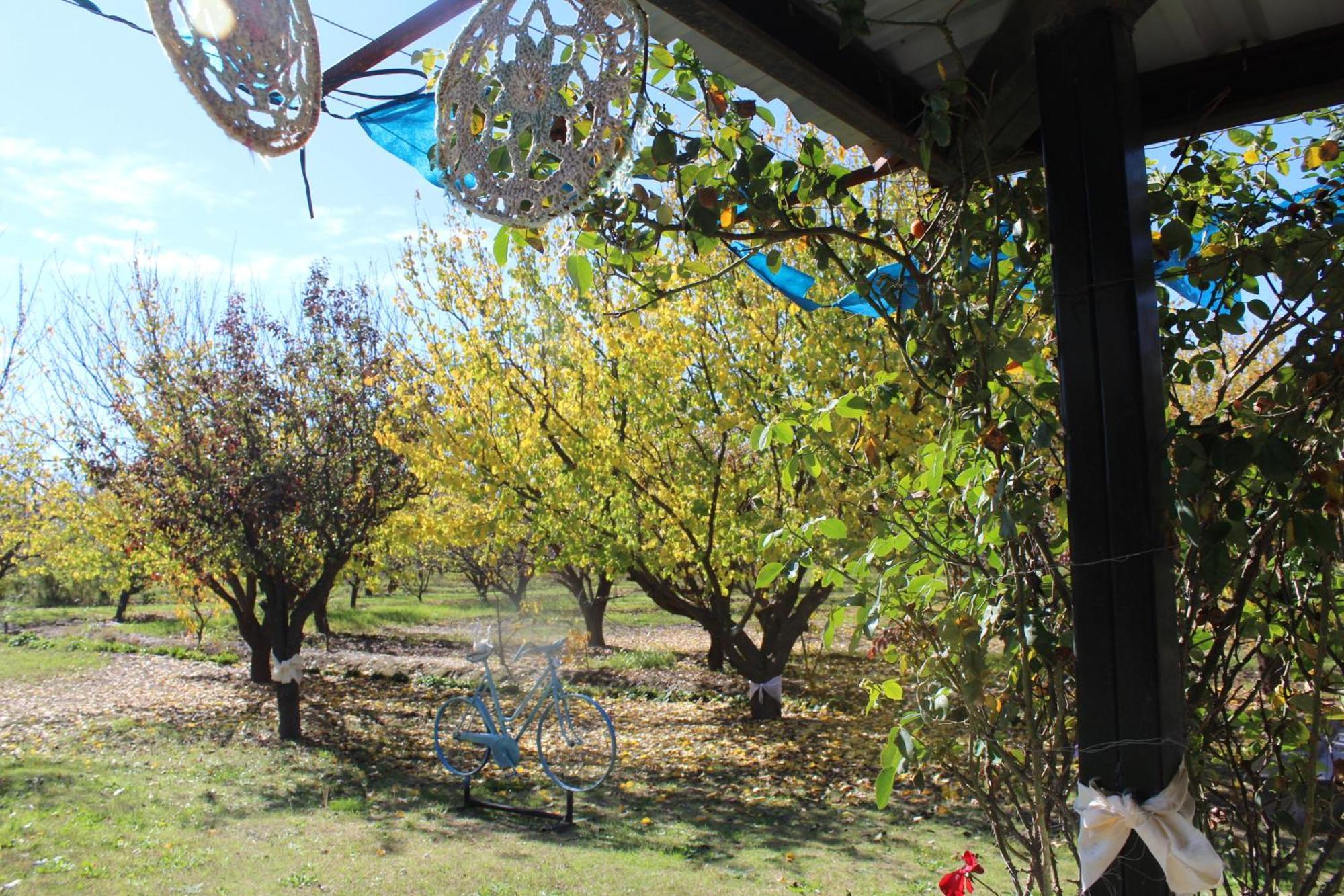 Finca La Celestita Colonia Alvear Экстерьер фото