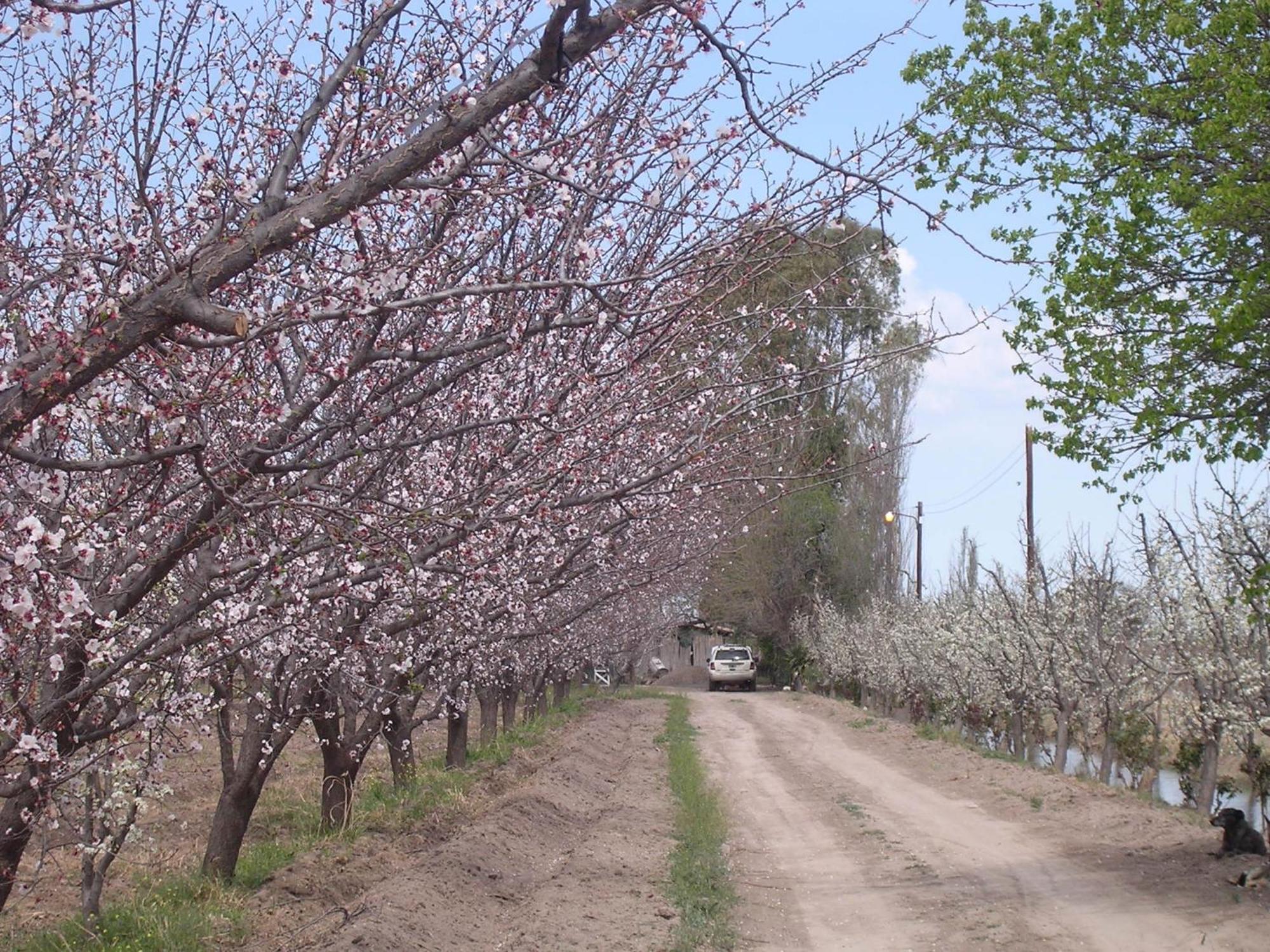 Finca La Celestita Colonia Alvear Экстерьер фото